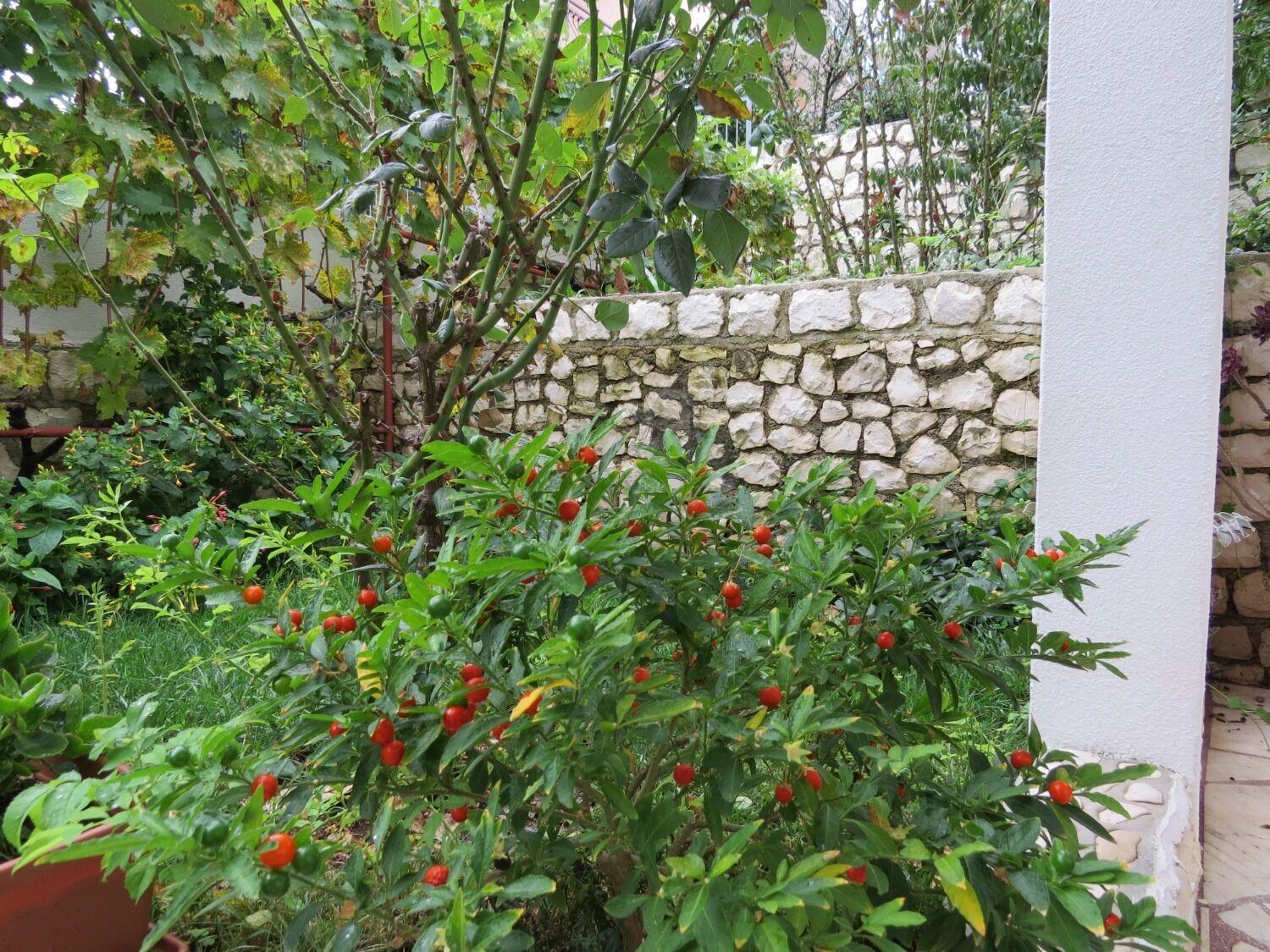 Apartment Bubi Trogir Luaran gambar